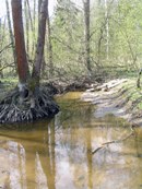 речка Могиленка